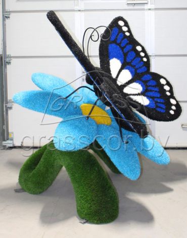 Бабочка на цветке