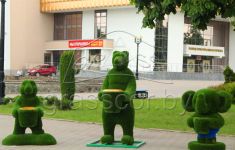 Медведь с кашпо